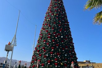 WhatsApp Image 2025-12-15 at 12.27.09 (1).jpeg